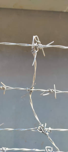 istock Barbed wire - stock photo 1353371362