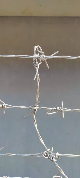 istock Barbed wire - stock photo 1353371363
