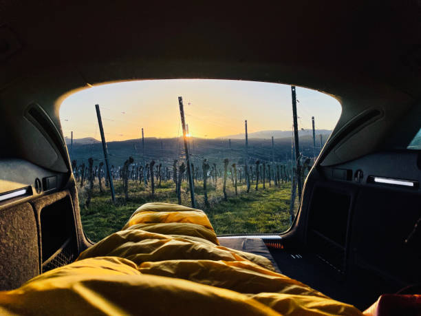 View through open door of motorhome to vineyard at sunrise View past sleeping area sardinia vineyard stock pictures, royalty-free photos & images