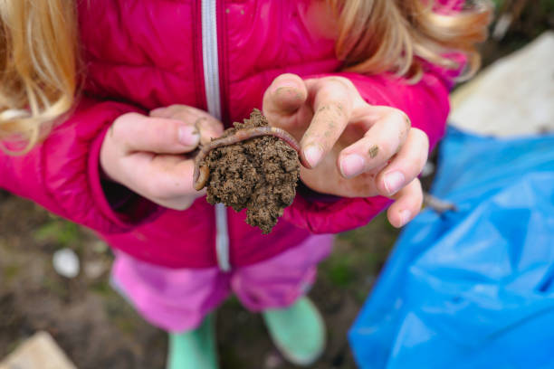 istock Hands of child holding soil with earthworm 1353380470