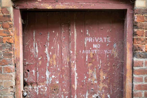 Scratch damage to an old internal door caused by a large dog. There's damage to the paintwork and scratch marks on wood. Several layers of old paintwork are showing through