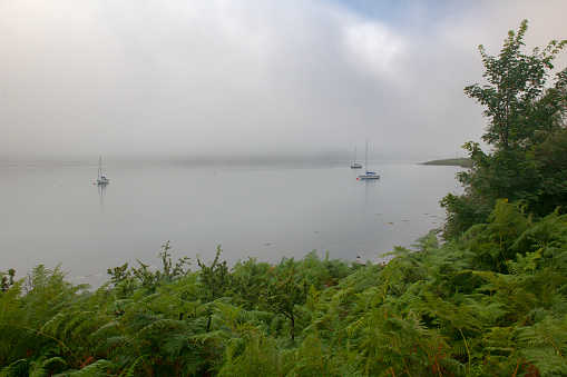 View of moored yachts on a misty morning from the shores of the Isle of Kerrera close to Oban Harbour, Argyllshire in Scotland.