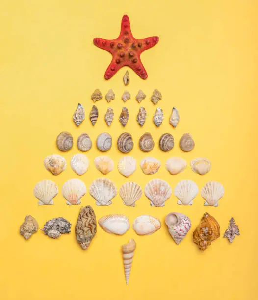 Christmas tree made of decorative sea shells and seastar on pastel yellow background. Christmas or New Year holidays at sea. Winter vacation or weekend at ocean concept. Sea travel, cruise, voyage.