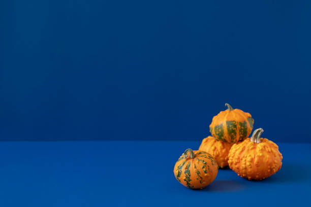istock Bright orange decorative pumpkins with green spots on deep blue background closeup. Fall season composition. Autumn holiday sale mockup. Front view, copy space. Dark moody horizontal photo 1353385393