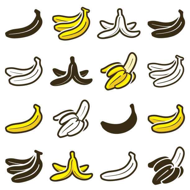 ilustraciones, imágenes clip art, dibujos animados e iconos de stock de colección de iconos de plátano - contorno vectorial y silueta - banana tree