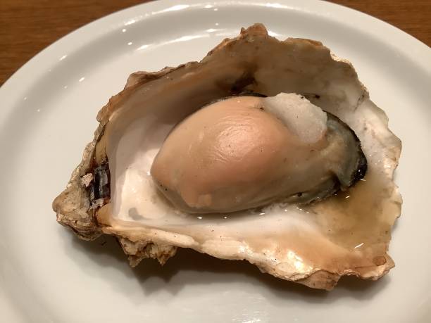 istock Very delicious fresh steamed oysters 1353386842