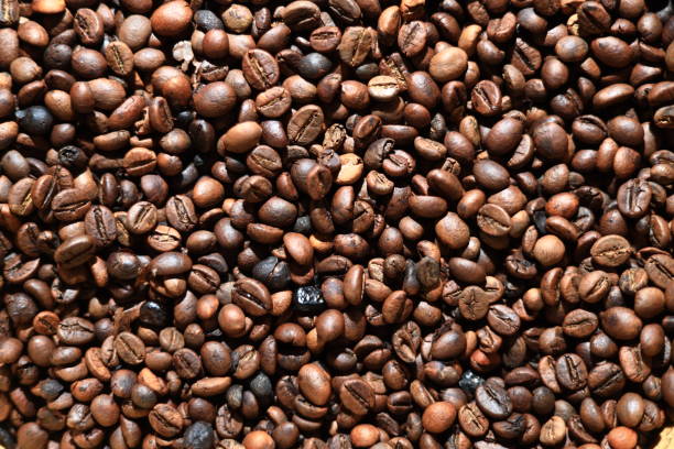 Full frame of roasted robusta coffee beans - Stock photo