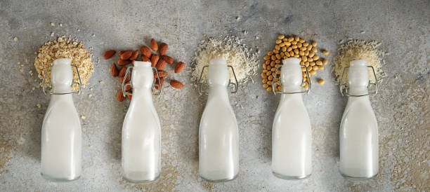Bottles with different vegan milk and the ingredients like soy, nuts and cereals lying on a rough stone background, panoramic format, top view from above stock photo