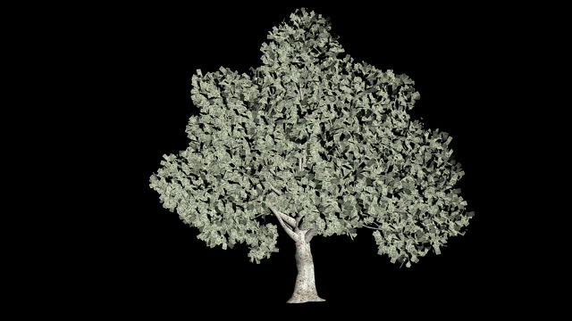 Dollar US tree seamless loop, black background