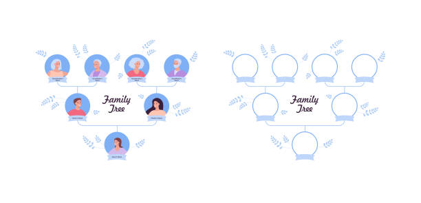 Family tree template and genealogy concept. Vector flat modern illustration. Avatars of three generation. Grandparents, parents and child isolated on white background. Family tree template and genealogy concept. Vector flat modern illustration. Avatars of three generation. Grandparents, parents and child isolated on white background. family tree chart stock illustrations