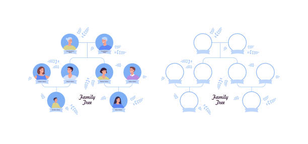 Family tree template and genealogy concept. Vector flat modern illustration. Avatars of three generation. Grandparents, parents, child with aunt and uncle isolated on white background. Family tree template and genealogy concept. Vector flat modern illustration. Avatars of three generation. Grandparents, parents, child with aunt and uncle isolated on white background. pics of family tree chart stock illustrations