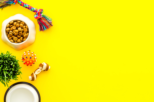 9 Dog Bowl Pictures | Download Free Images on Unsplash