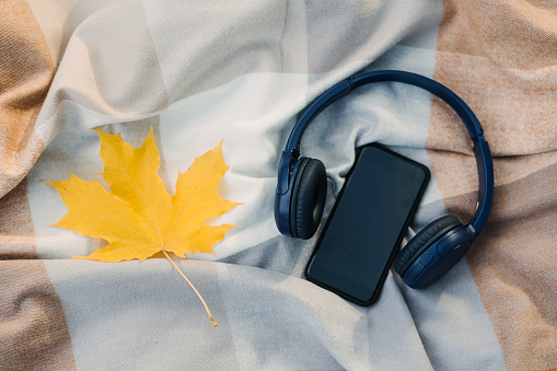 Smartphone mockup, headphones, yellow maple leaf on blanket in autumn park background. Audio technology apps, meditation application, fall mood music podcasts and books.