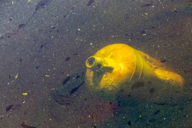 Plastic container submerged under the waters of a river with obvious signs of pollution.