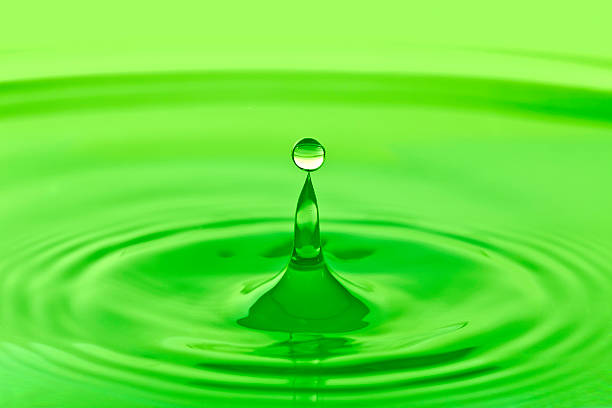 istock Balance of Nature 135339855