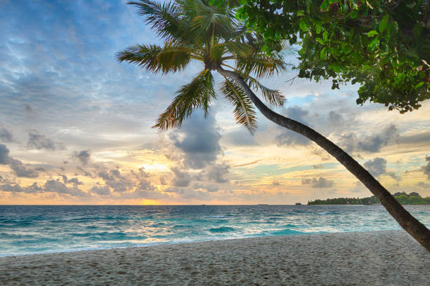 istock Beautiful sunset on the ocean. 1353399105