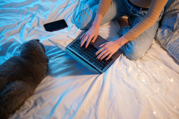 istock Female lying in bed with scottish fold cat and using laptop 1353399650