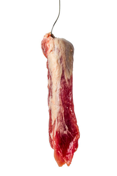 istock a fresh piece of raw meat 1353401630