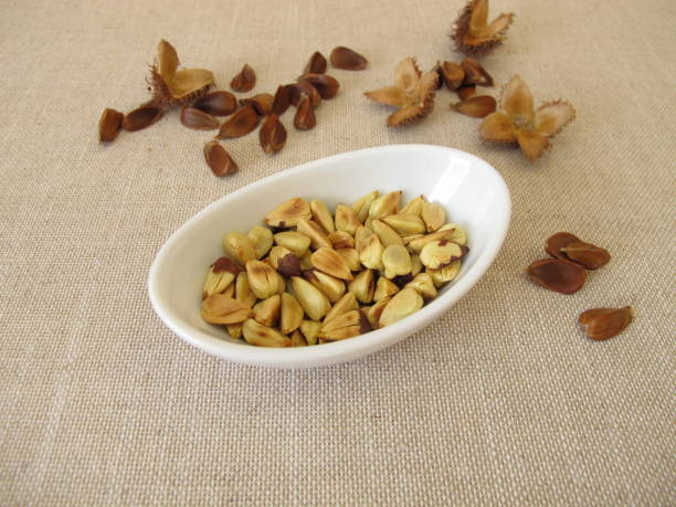 istock A small bowl of freshly roasted beechnuts 1353401983
