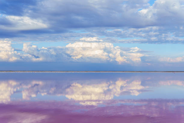 o reflexo do céu nublado na superfície do espelho do lago rosa sasyk-sivash na criméia - yevpatoria - fotografias e filmes do acervo