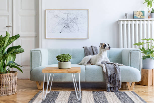 istock Modern scandinavian living room interior.Home decor. Interior design. Template. Ready to use. 1353404689