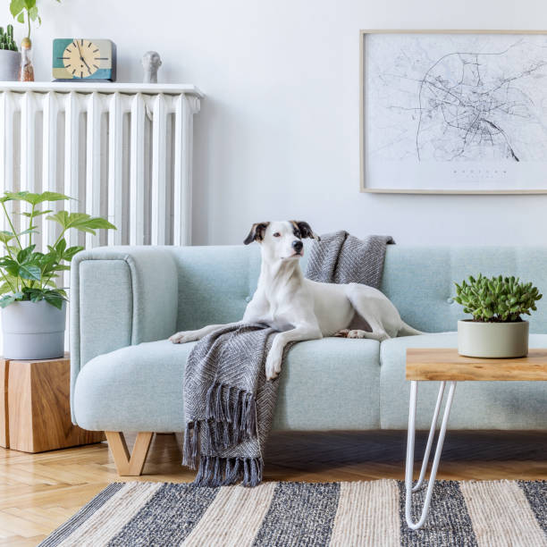 istock Modern scandinavian living room interior.Home decor. Interior design. Template. Ready to use. 1353404695