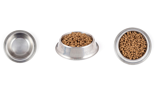 Delicious dog food and bowl of quality food, delicious and healthy on a white background