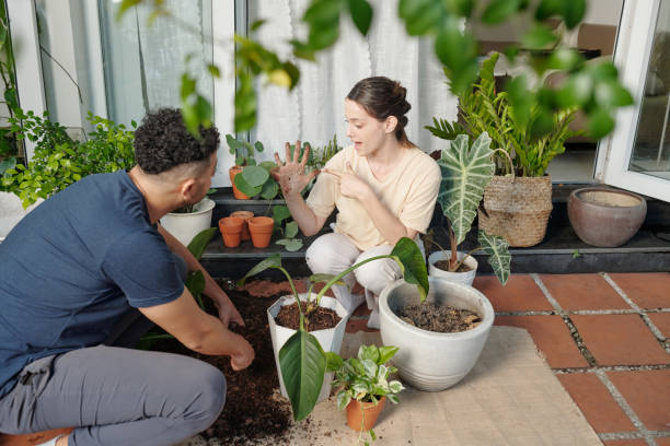 istock Couple Repotting FLowers in Backyard 1353407196