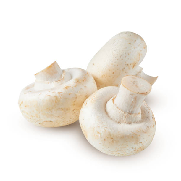 istock Champignon mushrooms isolated on white background 1353407476