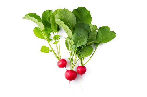 Radish with green leaves isolated on white background