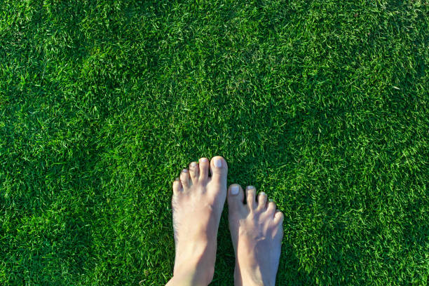 istock Bare female feet on green grass. Top view, copy space. 1353411956