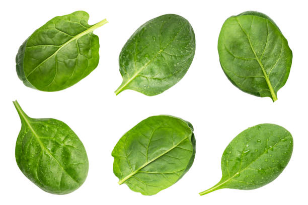 istock Set of spinach isolated on white background. Collection 1353413857