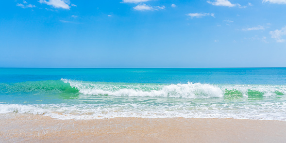 Waves lap on sandy beach, in springtime