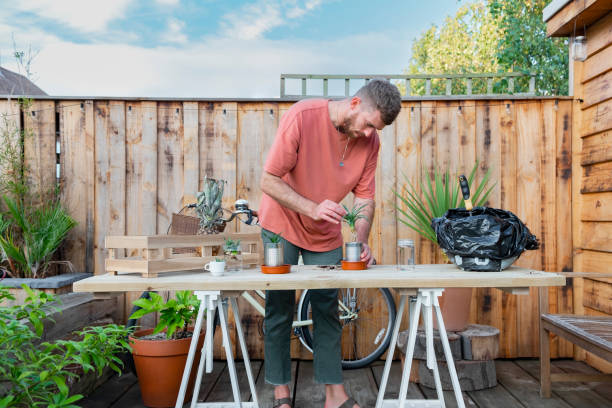 istock Planting My Baby Pineapple Trees 1353414435
