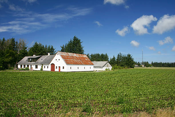 Danish farm stock photo