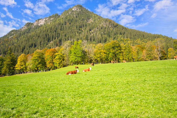 Mountain Landscapes Germany
