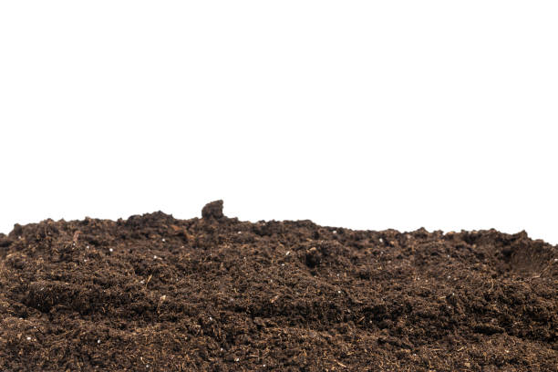 istock Soil for plant isolated on white background. 1353417170