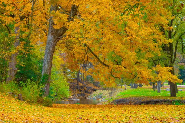 istock Fall Leaf Color with small stream-Howard County, Indiana 1353417506