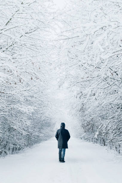 istock Single man walking on a snow covered forest path in winter 1353418991