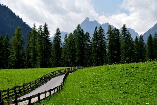 谷底に向かう途中 - country road fence road dolomites ストックフォトと画像