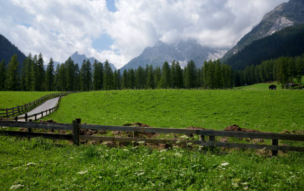 財政谷の牧草地 - country road fence road dolomites ストックフォトと画像