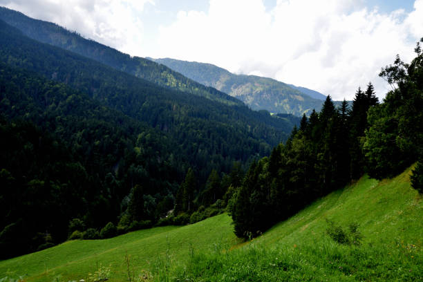 istock Woods in Lesachtall 1353422502