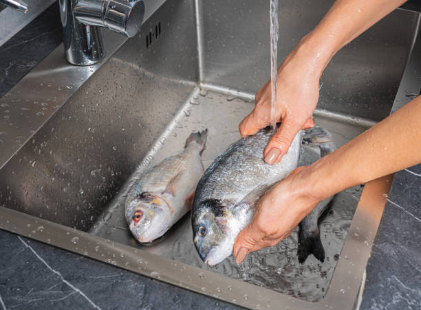 istock Dorado fish washing under running water 1353423608