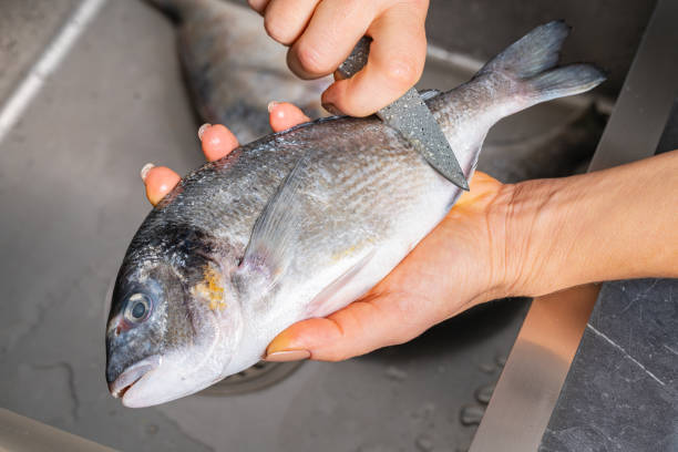 istock Dorado fish scales cleaning 1353423887