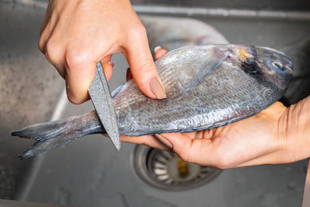 istock Dorado fish scales cleaning 1353424233