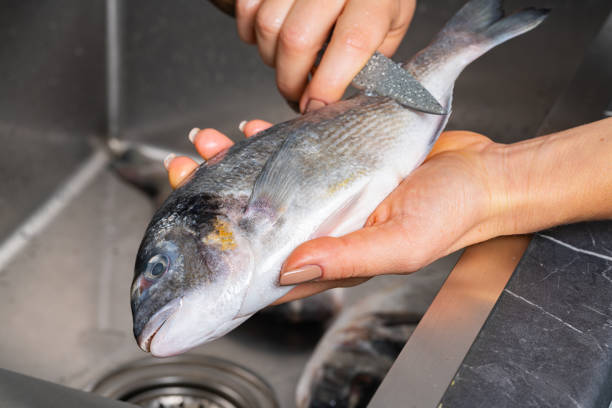 istock Dorado fish scales cleaning 1353426351