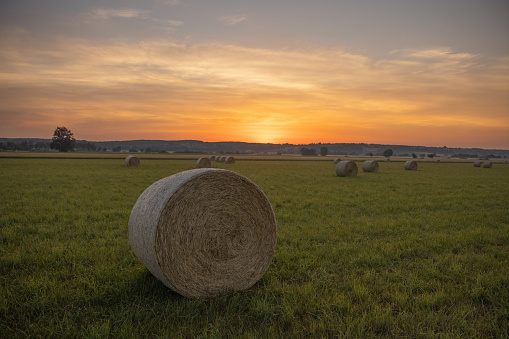 Bales of hay on agricultural field during sunset