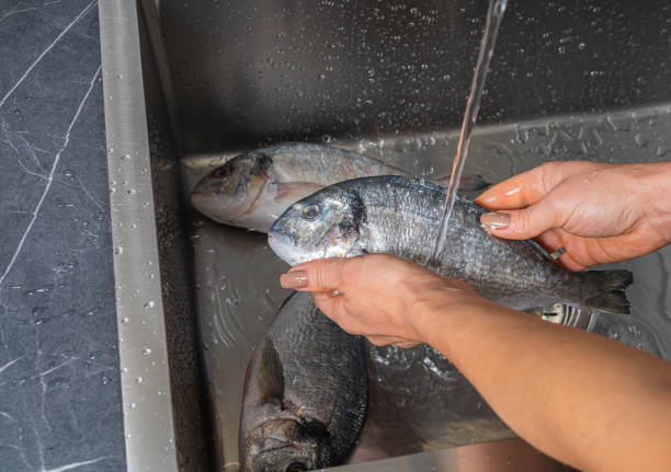 istock Dorado fish washing under running water 1353428519