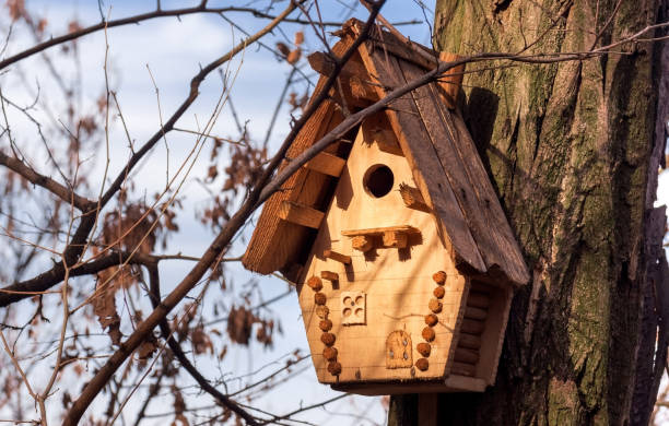 istock Wooden birdhouse on a tree 1353428771