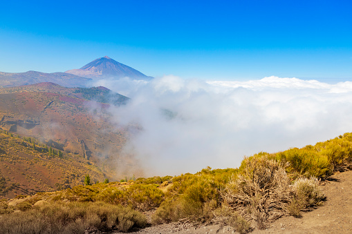 Teide Volcano in Tenerife during afternoon. And Sea Cloud over San Cristóbal de la Laguna.  You can see the Volcanic eruption in the horizon, Cumbre Vieja volcano in La Palma, fumarole goes sometimes over the haze and the low clouds in the horizon.